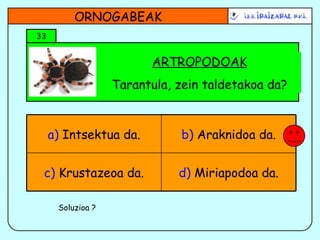 ARTROPODOAK Tarantula, zein taldetakoa da? ORNOGABEAK 33 Soluzioa ? d)  Miriapodoa da. c)  Krustazeoa da. b)  Araknidoa da. a)  Intsektua da. 