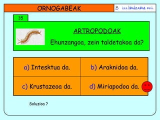 ARTROPODOAK Ehunzangoa, zein taldetakoa da? ORNOGABEAK 35 Soluzioa ? d)  Miriapodoa da. c)  Krustazeoa da. b)  Araknidoa da. a)  Intesktua da. 