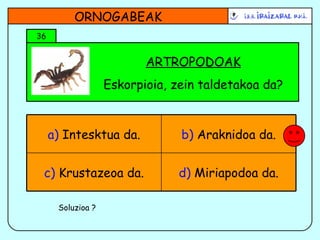 ARTROPODOAK Eskorpioia, zein taldetakoa da? ORNOGABEAK 36 Soluzioa ? d)  Miriapodoa da. c)  Krustazeoa da. b)  Araknidoa da. a)  Intesktua da. 