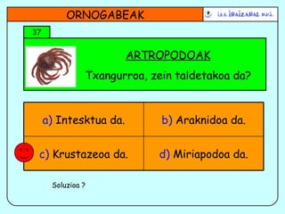 ARTROPODOAK Txangurroa, zein taldetakoa da? ORNOGABEAK 37 Soluzioa ? d)  Miriapodoa da. c)  Krustazeoa da. b)  Araknidoa da. a)  Intesktua da. 