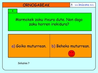 Marmokek zaku itxura dute. Non dago zaku horren irekidura? ORNOGABEAK 4 Soluzioa ? b)  Beheko muturrean. a)  Goiko muturrean. 