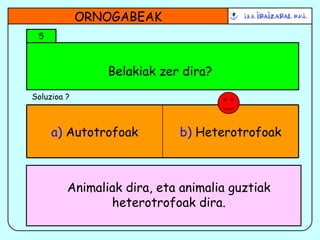 Belakiak zer dira? ORNOGABEAK 5 Soluzioa ? b)  Heterotrofoak a)  Autotrofoak Animaliak dira, eta animalia guztiak heterotrofoak dira. 