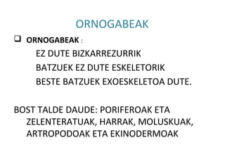 ORNOGABEAK
 ORNOGABEAK :
    EZ DUTE BIZKARREZURRIK
    BATZUEK EZ DUTE ESKELETORIK
    BESTE BATZUEK EXOESKELETOA DUTE.

BOST TALDE DAUDE: PORIFEROAK ETA
  ZELENTERATUAK, HARRAK, MOLUSKUAK,
  ARTROPODOAK ETA EKINODERMOAK
 