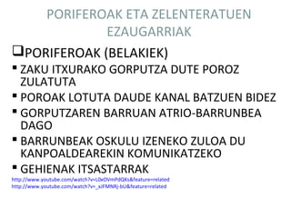 PORIFEROAK ETA ZELENTERATUEN
             EZAUGARRIAK
PORIFEROAK (BELAKIEK)
 ZAKU ITXURAKO GORPUTZA DUTE POROZ
  ZULATUTA
 POROAK LOTUTA DAUDE KANAL BATZUEN BIDEZ
 GORPUTZAREN BARRUAN ATRIO-BARRUNBEA
  DAGO
 BARRUNBEAK OSKULU IZENEKO ZULOA DU
  KANPOALDEAREKIN KOMUNIKATZEKO
 GEHIENAK ITSASTARRAK
http://www.youtube.com/watch?v=L0xOVmPdQKs&feature=related
http://www.youtube.com/watch?v=_xJFMNRj-bU&feature=related
 