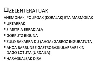ZELENTERATUAK
ANEMONAK, POLIPOAK (KORALAK) ETA MARMOKAK
 URTARRAK
 SIMETRIA ERRADIALA
 GORPUTZ BIGUNA
 ZULO BAKARRA DU (AHOA) GARROZ INGURATUTA
 AHOA BARRUNBE GASTROBASKULARRAREKIN
  DAGO LOTUTA (URDAILA)
 HARAGIJALEAK DIRA
 