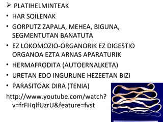  PLATIHELMINTEAK
• HAR SOILENAK
• GORPUTZ ZAPALA, MEHEA, BIGUNA,
  SEGMENTUTAN BANATUTA
• EZ LOKOMOZIO-ORGANORIK EZ DIGESTIO
  ORGANOA EZTA ARNAS APARATURIK
• HERMAFRODITA (AUTOERNALKETA)
• URETAN EDO INGURUNE HEZEETAN BIZI
• PARASITOAK DIRA (TENIA)
http://www.youtube.com/watch?
  v=frFHqlfUzrU&feature=fvst
 