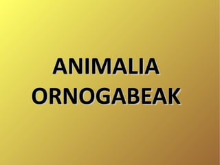 ANIMALIAANIMALIA
ORNOGABEAKORNOGABEAK
 