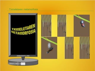 Tximeletaren metamorfosia
ZUBIA/SANTILLANA
SAKATU HEMEN
 