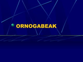 ORNOGABEAK

 