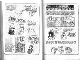 Rius  — La basura que comemos