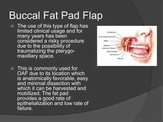 Buccal Fat Pad Flap
 The use of this type of flap has
limited clinical usage and for
many years has been
considered a risky procedure
due to the possibility of
traumatizing the pterygo-
maxillary space.
 This is commonly used for
OAF due to its location which
is anatomically favorable, easy
and minimal dissection with
which it can be harvested and
mobilized. The fat pad
provides a good rate of
epithelialization and low rate of
failure.
 