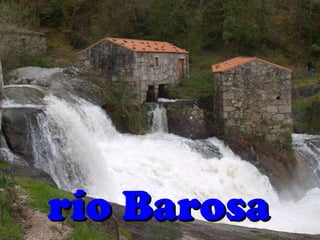 río Barosa 
