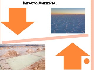 IMPACTO AMBIENTAL
 