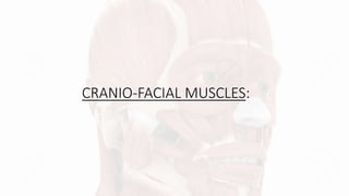 CRANIO-FACIAL MUSCLES:
 