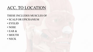 ACC. TO LOCATION
THESE INCLUDES MUSCLES OF
• SCALP OR EPICRANIUM
• EYELID
• NOSE
• EAR &
• MOUTH
• NECK
 