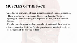 MUSCLES OF THE FACE
• Also known as muscles of facial expression are subcutaneous muscles.
• These muscles are regulators (sphincter or dilators) of the three
opening on the face namely; the palpebral fissures, nostrils and oral
fissure.
• Facial expressions produced are secondary functions of these muscles.
• Some anatomists think that facial expressions are merely side effects
of the action of the muscles of face.
 