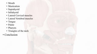 • Mouth
• Mastication
• Suprahyoid
• Infrahyoid
• Lateral Cervical muscles
• Lateral Vertebral muscles
• Tongue
• Palate
• Pharynx
• Triangles of the neck
• Conclusion
 