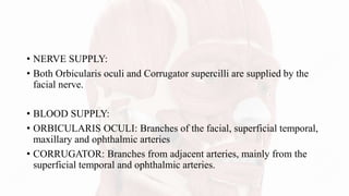 • NERVE SUPPLY:
• Both Orbicularis oculi and Corrugator supercilli are supplied by the
facial nerve.
• BLOOD SUPPLY:
• ORBICULARIS OCULI: Branches of the facial, superficial temporal,
maxillary and ophthalmic arteries
• CORRUGATOR: Branches from adjacent arteries, mainly from the
superficial temporal and ophthalmic arteries.
 