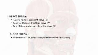 • NERVE SUPPLY:
• Lateral Rectus: abducent nerve (VI)
• Superior Oblique: trochlear nerve (IV)
• Rest of the muscles: occulomotor nerve (III)
• BLOOD SUPPLY :
• All extraocular muscles are supplied by Ophthalmic artery.
 