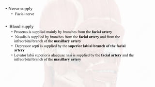 • Nerve supply
• Facial nerve
• Blood supply
• Procerus is supplied mainly by branches from the facial artery
• Nasalis is supplied by branches from the facial artery and from the
infraorbital branch of the maxillary artery
• Depressor septi is supplied by the superior labial branch of the facial
artery
• Levator labii superioris alaequae nasi is supplied by the facial artery and the
infraorbital branch of the maxillary artery
 