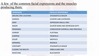 A few of the common facial expressions and the muscles
producing them:
EXPRESSION MUSCLES RESPONSIBLE
SMILING AND LAUGHING ZYGOMATICUS MAJOR
SADNESS LEVATOR LABII SUPERIORIS
GRIEF DEPRESSOR ANGULI ORIS
ANGER DILATOR NARIS AND DEPRESSOR SEPTI
FROWNING CORRUGATOR SUPERCILLI AND PROCERUS
HORROR PLATYSMA
SURPRISE FRONTALIS
DOUBT MENTALIS
GRINNING RISORIUS
CONTEMPT ZYGOMATICUS MINOR
CLOSING THE MOUTH ORBICULARIS ORIS
WHISTLING BUCCINATOR
 