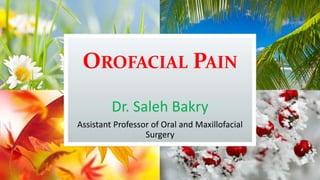 OROFACIAL PAIN
Dr. Saleh Bakry
Assistant Professor of Oral and Maxillofacial
Surgery
 