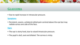 GLAUCOMA
 Due to rapid increase in intraocular pressure.
Symptoms
 Persistent, severe, unilateral orbital pain centred above the eye but may
radiate across one side of the face.
Signs
 The eye is stony hard, due to raised intraocular pressure.
 The pupil is dull, oval and dilated. The cornea is misty.
 