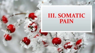 III. SOMATIC
PAIN
Subtitle
 