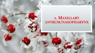 1. MAXILLARY
ANTRUM/NASOPHARYNX
 