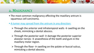 2. MALIGNANCY
 The most common malignancy affecting the maxillary antrum is
squamous cell carcinoma.
 A tumor may spread from the antrum in any direction:
 Through the anterior and infratemporal walls → swelling on the
cheek, mimicking a dental abscess.
 Through the posterior wall → damage the posterior superior
alveolar nerves → anaesthesia of the teeth and gum in the
maxillary molar region.
 Through the floor → swelling on the palate or buccal sulcus,
mimicking a dental abscess.
 