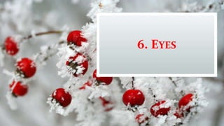 6. EYES
 