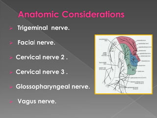

Trigeminal nerve.



Facial nerve.



Cervical nerve 2 .



Cervical nerve 3 .



Glossopharyngeal nerve.



Vagus nerve.

 