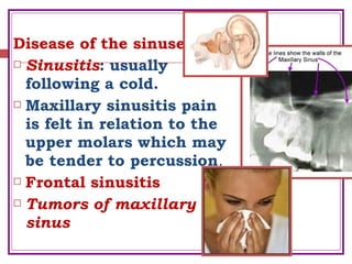Disease of the sinuses
 Sinusitis: usually
following a cold.
 Maxillary sinusitis pain
is felt in relation to the
upper molars which may
be tender to percussion.
 Frontal sinusitis
 Tumors of maxillary
sinus
 