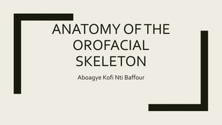 ANATOMY OFTHE
OROFACIAL
SKELETON
Aboagye Kofi Nti Baffour
 