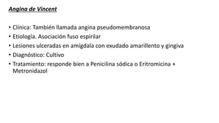 Angina de Vincent
• Clínica: También llamada angina pseudomembranosa
• Etiología. Asociación fuso espirilar
• Lesiones ulceradas en amígdala con exudado amarillento y gingiva
• Diagnóstico: Cultivo
• Tratamiento: responde bien a Penicilina sódica o Eritromicina +
Metronidazol
 