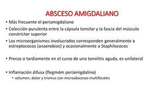 ABSCESO AMIGDALIANO
• Más frecuente el periamigdaliano
• Colección purulenta entre la cápsula tonsilar y la fascia del músculo
constrictor superior
• Los microorganismos involucrados corresponden generalmente a
estreptococos (anaerobios) y ocasionalmente a Staphilococos
• Precoz o tardíamente en el curso de una tonsilitis aguda, es unilateral
• Inflamación difusa (flegmóm periamigdalino)
• volumen, dolor y trismus con microabscesos multifocales
 
