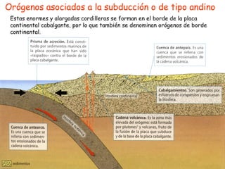 Orógenos asociados a la subducción o de tipo andino Estas enormes y alargadas cordilleras se forman en el borde de la plac...