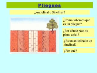 ¿Anticlinal o Sinclinal? ¿Cómo sabemos que es un pliegue? ¿Por dónde pasa su plano axial? ¿Es un anticlinal o un sinclinal? ¿Por qué? Pliegues 
