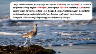Ororl Orol fojiasi.ppsx