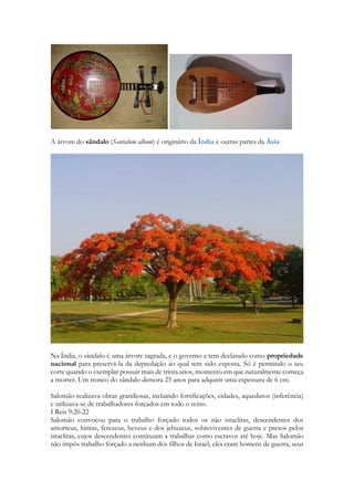 A árvore do sândalo (Santalum album) é originário da Índia e outras partes da Ásia 
Na Índia, o sândalo é uma árvore sagrada, e o governo a tem declarado como propriedade nacional para preservá-la da depredação ao qual tem sido exposta. Só é permitido o seu corte quando o exemplar possuir mais de trinta anos, momento em que naturalmente começa a morrer. Um tronco do sândalo demora 25 anos para adquirir uma espessura de 6 cm. 
Salomão realizava obras grandiosas, incluindo fortificações, cidades, aquedutos (inferência) e utilizava-se de trabalhadores forçados em todo o reino. 
I Reis 9:20-22 
Salomão convocou para o trabalho forçado todos os não israelitas, descendentes dos amorreus, hititas, ferezeus, heveus e dos jebuzeus, sobreviventes de guerra e presos pelos israelitas, cujos descendentes continuam a trabalhar como escravos até hoje. Mas Salomão não impôs trabalho forçado a nenhum dos filhos de Israel; eles eram homens de guerra, seus  