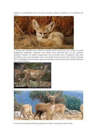 capitães, os comandantes dos seus carros de guerra, oficiais, escudeiros e os condutores de carros. 
A menina que trabalhava nas vinhas era tratada como escrava por seus irmãos se sentia duplamente injustiçada. Enquanto seus irmãos eram honrados pelo rei, que impunha trabalhos forçados Às nações conquistadas, ela era tratada como estrangeira, como uma presidiária, como uma capturada, como uma sobrevivente de guerra. Seus irmãos retiraram dela sua dignidade como israelita e agora ela trabalhava como escrava num vinhal de Salomão nas terras do Líbano. 
E com certeza absoluta, Salomão podia estar sendo venerado por toda a terra.  