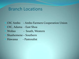 Index Based Livestock Insurance Oromiya insurance company's related produnts