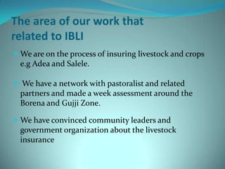 Index Based Livestock Insurance Oromiya insurance company's related produnts