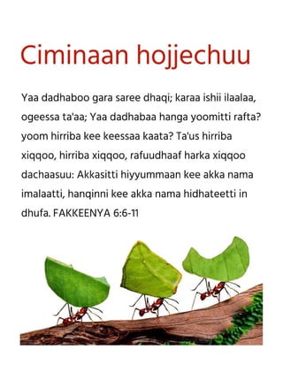 Oromo Motivational Diligence Tract.pdf