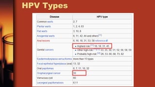 HPV = Human Papillomavirus
More than 200 varieties of human papillomavirus (HPV) exist, double-
stranded DNA viruses that ...
