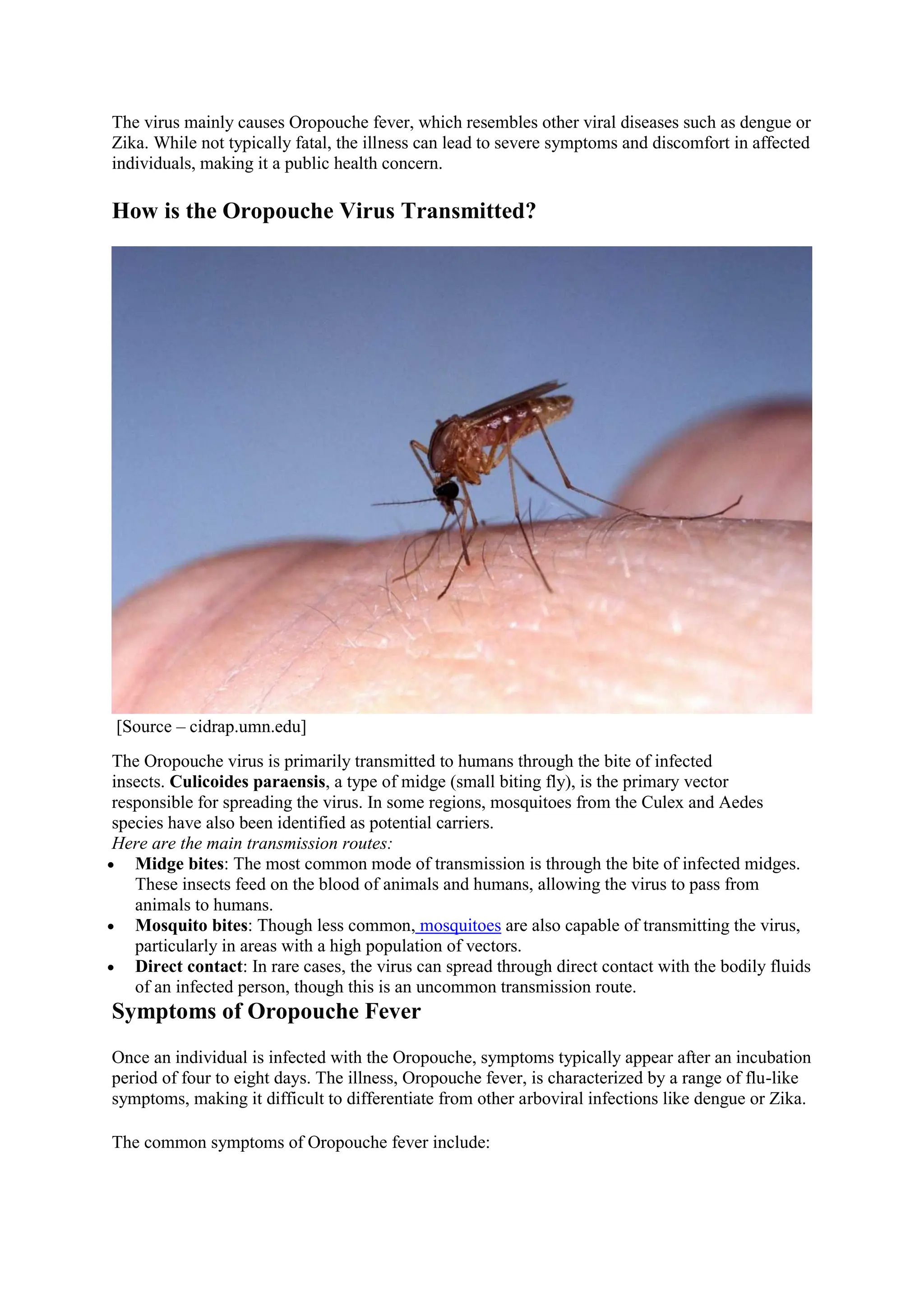 What Happens Next: The Race for a Vaccine and Global Preparedness What Happens Next: The Race for a Vaccine and Global Preparedness
