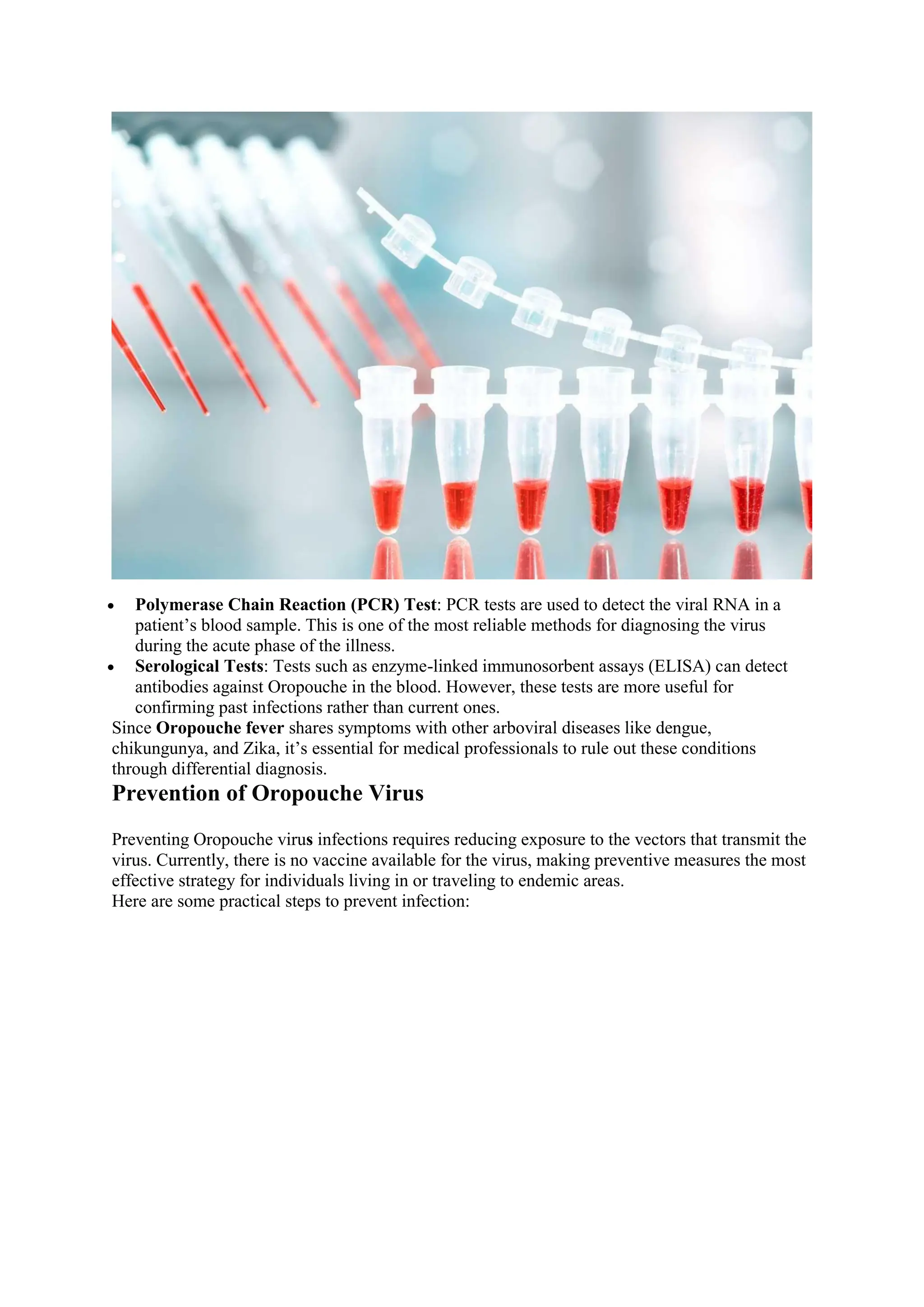 What is Oropouche Virus?: Symptoms, Transmission & Prevention