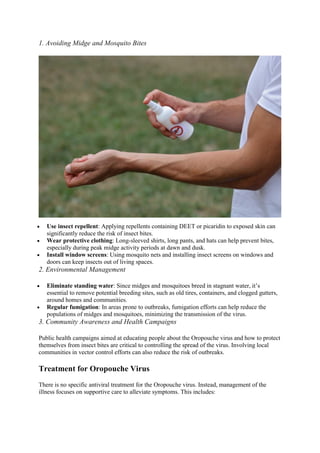 Especially Insect Worn What is Oropouche Virus?: Symptoms, Transmission & Prevention ...