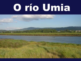 O río Umia
 