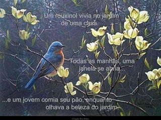 Um rouxinol vivia no jardim de uma casa. Todas as manhãs, uma janela se abria... ...e um jovem comia seu pão, enquanto  olhava a beleza do jardim. 
